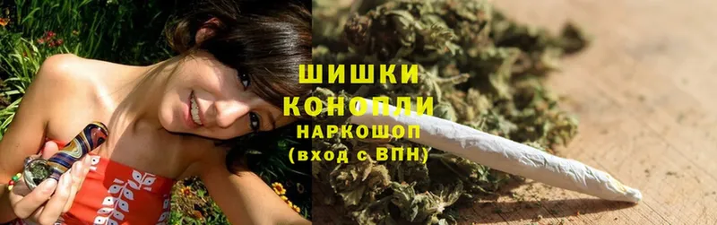 Бошки Шишки OG Kush  как найти закладки  Новоузенск 